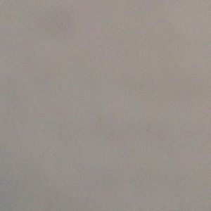 Meet your Posher, Elsa